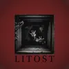 Litost - EP album lyrics, reviews, download