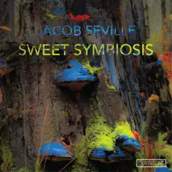 Sweet Symbiosis by Jacob Seville album reviews, ratings, credits