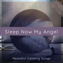 Sleep Now My Angel – Peaceful Calming Songs for a Restful Sleep by Dr. Sakano, Billy Breath & Angels for My Soul album reviews, ratings, credits
