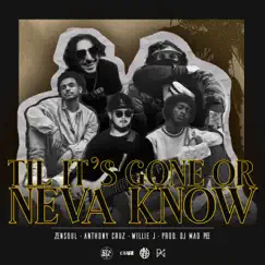 Till It's Gone or Neva Know - Single by Dj Mad Pee, Zensoul & Anthony Cruz album reviews, ratings, credits