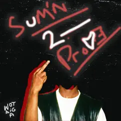 Sum'n 2 Prove - Single by Tai Wo album reviews, ratings, credits