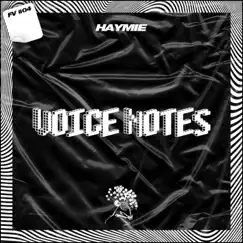 Voice Notes - Single by Haymie album reviews, ratings, credits