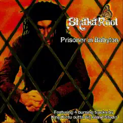 Prisoner in Dub (feat. King Kietu) Song Lyrics