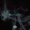 Why Hate (Instrumental) - Single album lyrics, reviews, download
