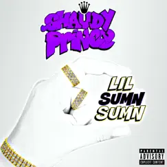 Lil Sumn Sumn (feat. GraphicMuzik) - Single by Shaudy Prince album reviews, ratings, credits
