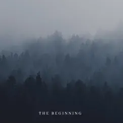 The Beginning - Single by Aid Lewis album reviews, ratings, credits