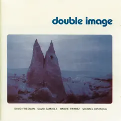 Double Image by David Friedman album reviews, ratings, credits