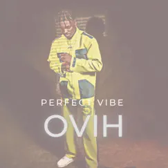 Perfect Vibe - Single by Ovih album reviews, ratings, credits
