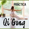 Práctica Qi Gong – Música Relajante para Tai Chi y Ejercicio Ligero, Sonidos Orientales de Fondo de la Naturaleza album lyrics, reviews, download