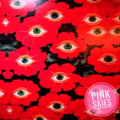 Pink Skies - Single by Rajat Rao album reviews, ratings, credits