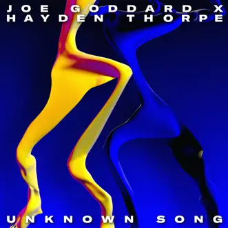 Unknown Song (Extended Version) - Single by Joe Goddard & Hayden Thorpe album download