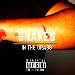 Snakes in the Grass - Single by Charlie2k album reviews, ratings, credits