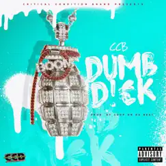 Dumb Dick Song Lyrics