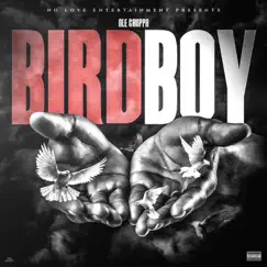 Birdboy Song Lyrics