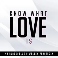 Know What Love Is (Radio Edit) - Single by Mr. Black&Blue & Wesley Verstegen album reviews, ratings, credits