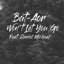 Won't Let You Go (feat. Daniel Michael) Song Lyrics