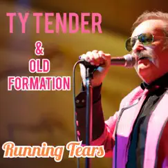 Running Tears (feat. OLD FORMATION) - Single by Ty Tender album reviews, ratings, credits