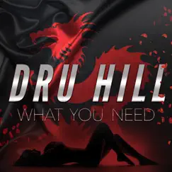 What You Need - Single by Dru Hill album reviews, ratings, credits