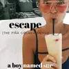 Escape (The Piña Colada Song) - Single album lyrics, reviews, download