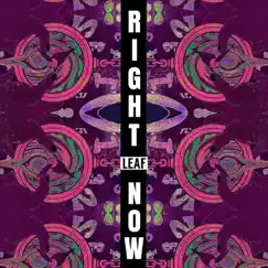 Right Now - Single by Leaf album reviews, ratings, credits