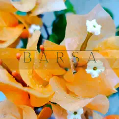 Barsa - Single by Joshua Singh & Mai Farosh album reviews, ratings, credits