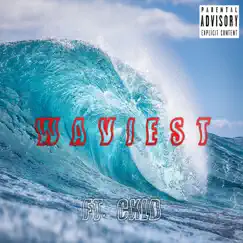 Waviest (feat. Cxld) - Single by Akuro album reviews, ratings, credits