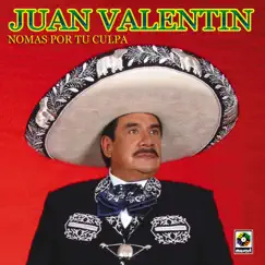 Nomás Por Tu Culpa by Juan Valentin album reviews, ratings, credits