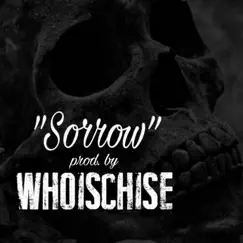 Sorrow (Instrumental) - Single by Who Is Chise album reviews, ratings, credits