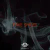 Fake Smiles (Instrumental) song lyrics