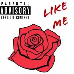 Like Me Song Lyrics