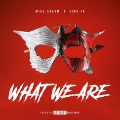 What We Are (feat. Jinx TK) Song Lyrics