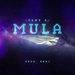 MULA - Single by Tony P album reviews, ratings, credits