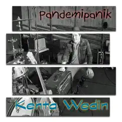 Pandemipanik - Single by Kenta Wedin album reviews, ratings, credits
