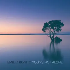 You're Not Alone Song Lyrics