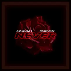 Never (feat. Dominator) Song Lyrics