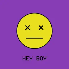 Hey Boy - Single by The Undercover Hippy album reviews, ratings, credits