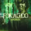 Foragido - Single album lyrics, reviews, download
