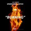 Burning (feat. Kayvo) - Single album lyrics, reviews, download