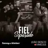 Fiel Separado (feat. João Bosco & Vinícius) - Single album lyrics, reviews, download