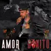 Amor Bonito - Single album lyrics, reviews, download