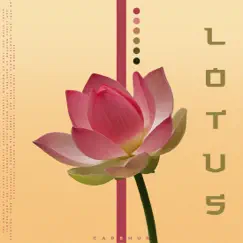 Lotus Song Lyrics