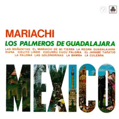 El Mariachi de mi Tierra Song Lyrics