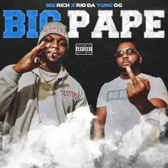 Big Pape (feat. Rio Da Yung Og) - Single by Bee Rich album reviews, ratings, credits