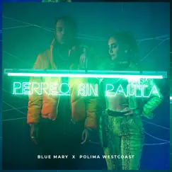 Perreo Sin Pauta (feat. Polimá Westcoast) - Single by Blue Mary album reviews, ratings, credits
