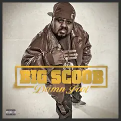 Damn Fool by Big Scoob album reviews, ratings, credits