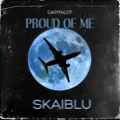 Proud of Me - Single by Skaiblu album reviews, ratings, credits