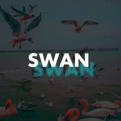 Swan - Single by Carl T album reviews, ratings, credits
