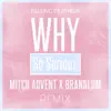 Why So Serious (feat. Mitch Advent & Brannlum) - Single album lyrics, reviews, download