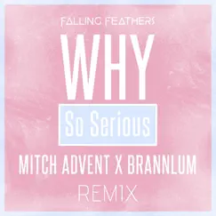 Why So Serious (feat. Mitch Advent & Brannlum) - Single by Falling Feathers album reviews, ratings, credits