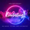 Everlasting (feat. Nasi Nassiri, Tay Conti & Dusto the Architect) - Single album lyrics, reviews, download